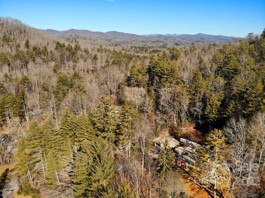 41 Riverside Estate Road Brevard, NC 28712 - Photo 34 of 38 Gallery Image 34