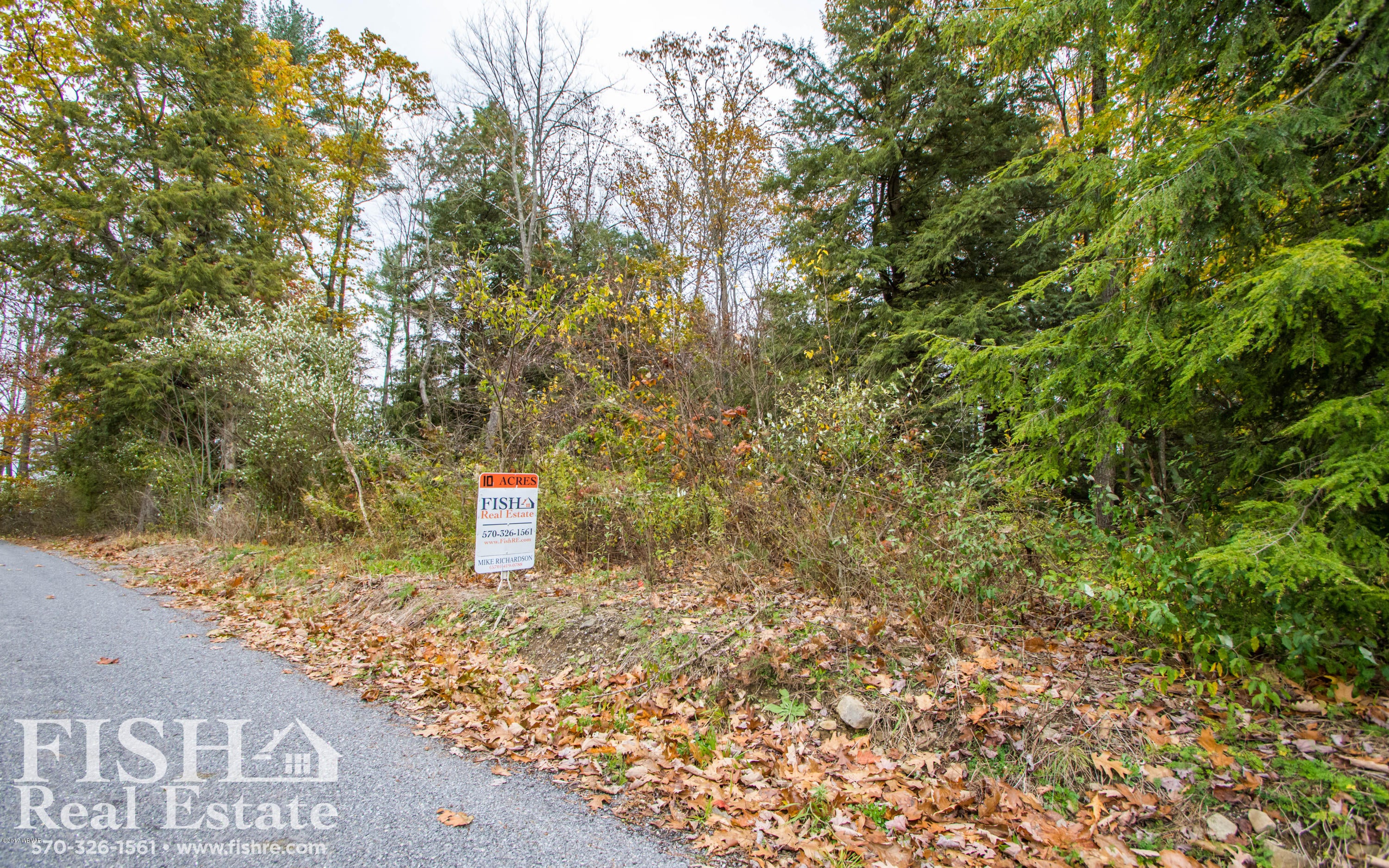 0 Hughes Road Waterville, PA 17776 - Photo 4 of 4 Woods - View 3