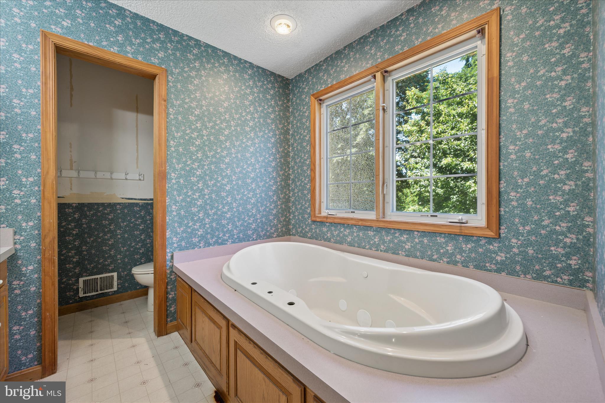 8354 Mountain Laurel Road Boonsboro, MD 21713 - Photo 20 of 91 Primary Bathroom
