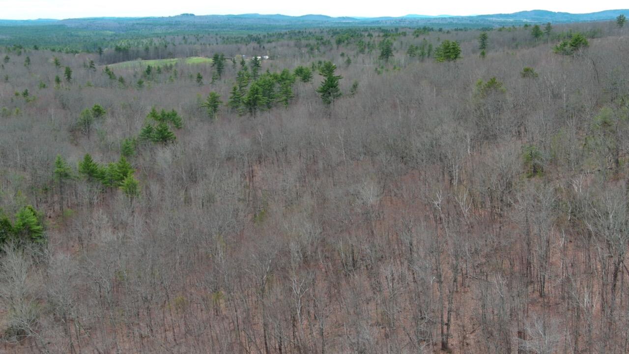 75 Bond Spring Road Newfield, ME 04095 - Photo 14 of 17 MAX_0029