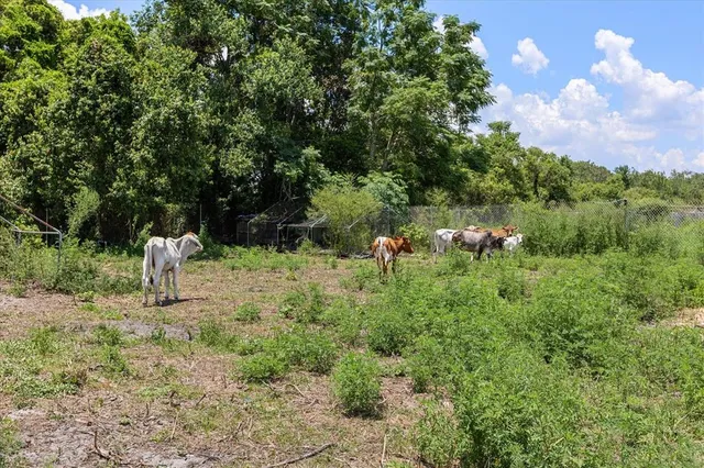 $18,000 | Undisclosed Address, Oviedo, FL 32765