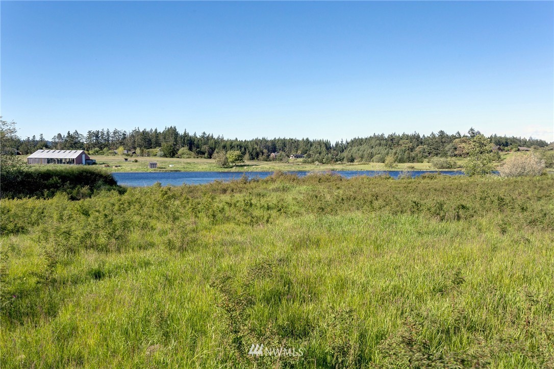 514 Kiehl Road Friday Harbor, WA 98250 - Photo 17 of 25 Gallery Image 17