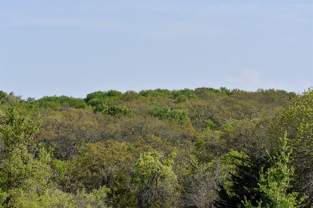 51 St Decatur Tx 76234 Decatur, TX 76234 - Photo 19 of 26