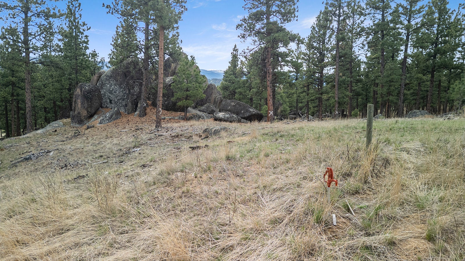 15 Old Abe Road Clancy, MT 59634 - Photo 9 of 32 Gallery Image 9