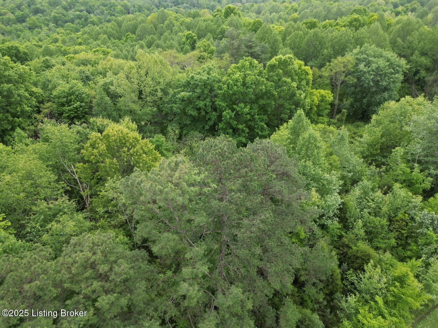 Lot 8 Duvall Road Caneyville, KY 42721 - Photo 2 of 5 L8