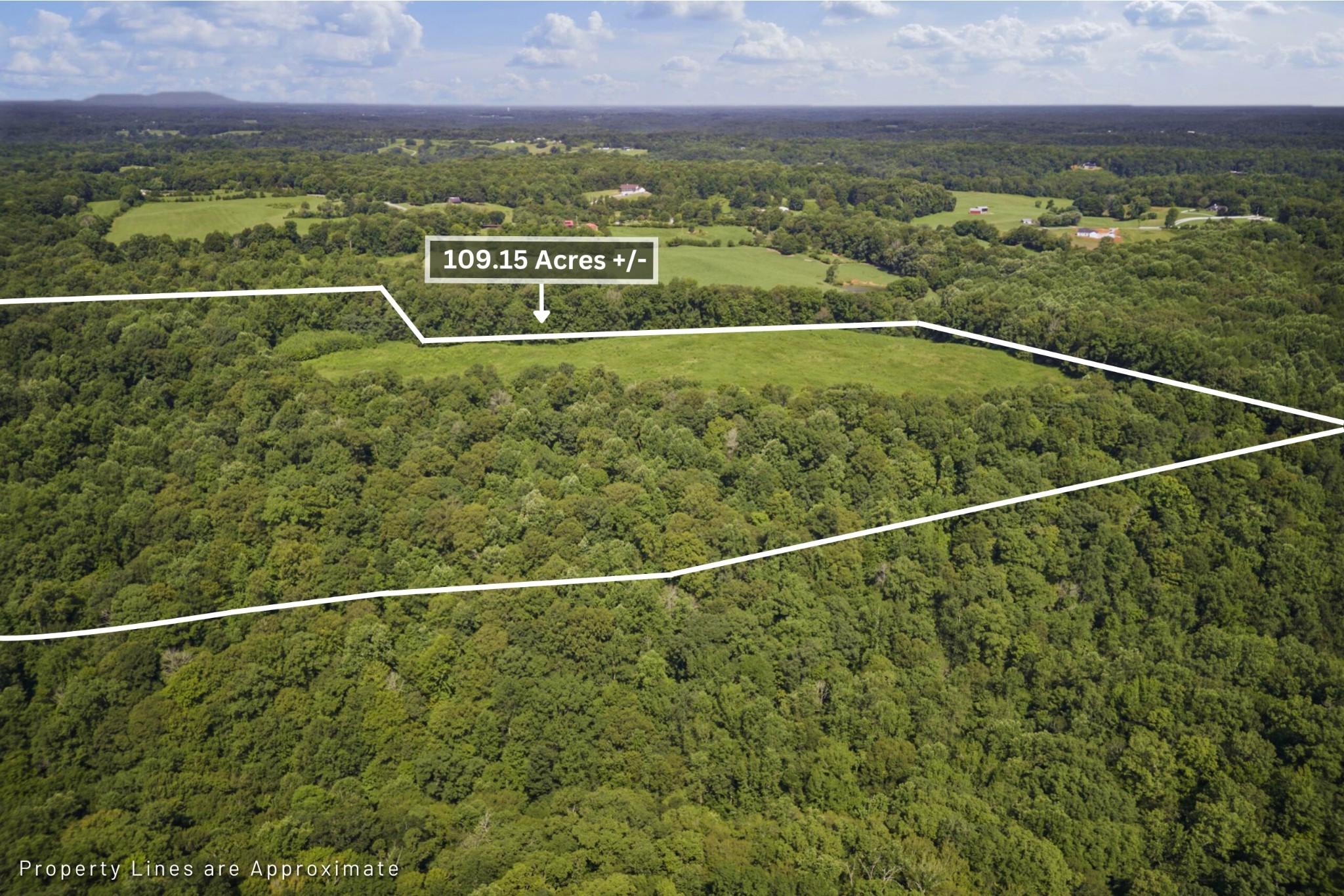 0 Creed Wright Road Walling, TN 38587 - Photo 4 of 34 a view of a city