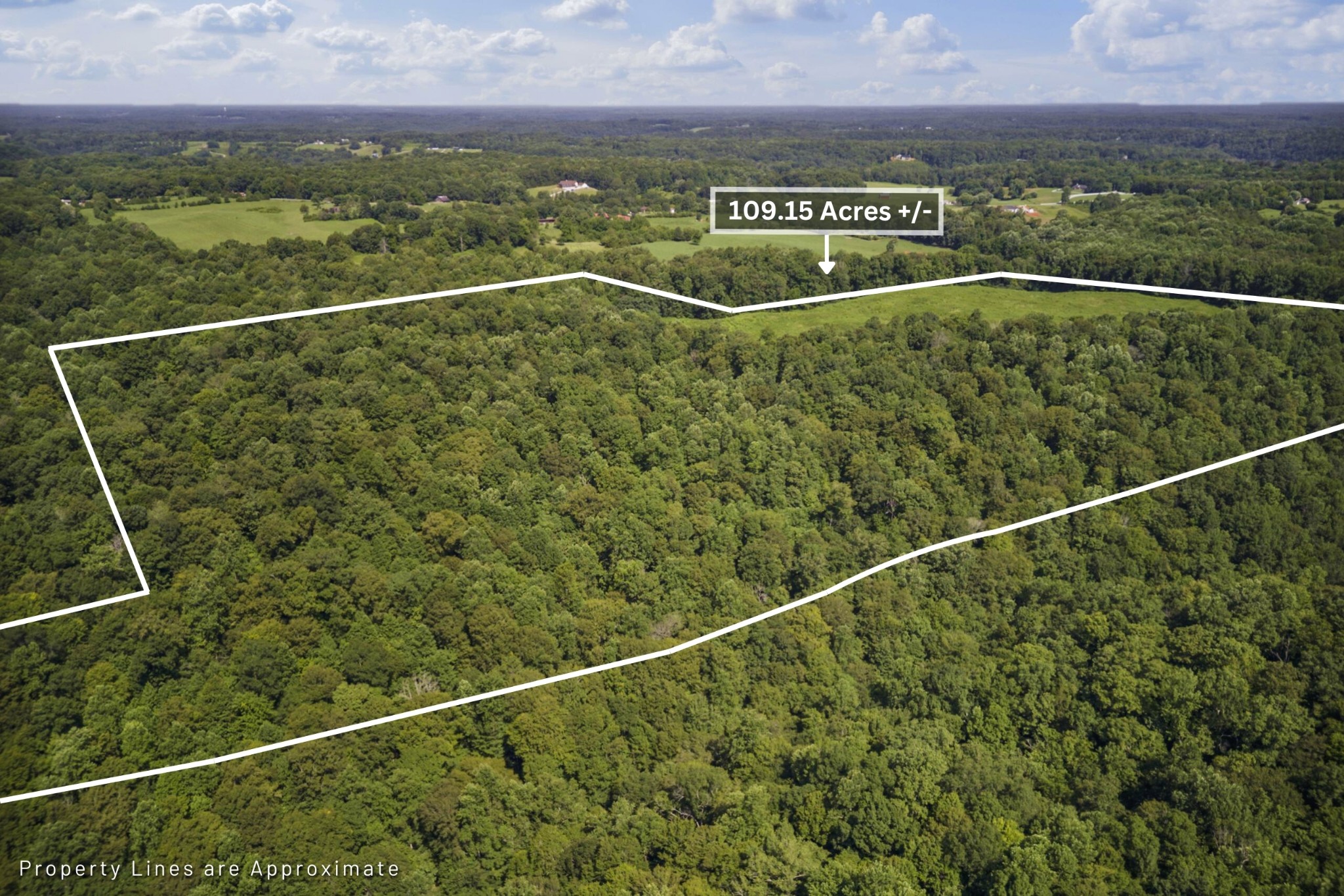 0 Creed Wright Road Walling, TN 38587 - Photo 6 of 34 a view of a balcony with an outdoor space