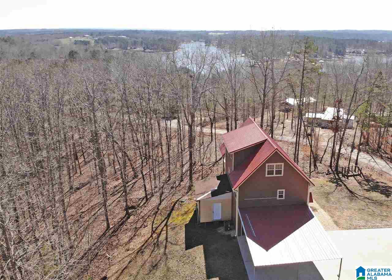 135 Swagg Cove Road Wedowee, AL 36278 - Photo 4 of 24