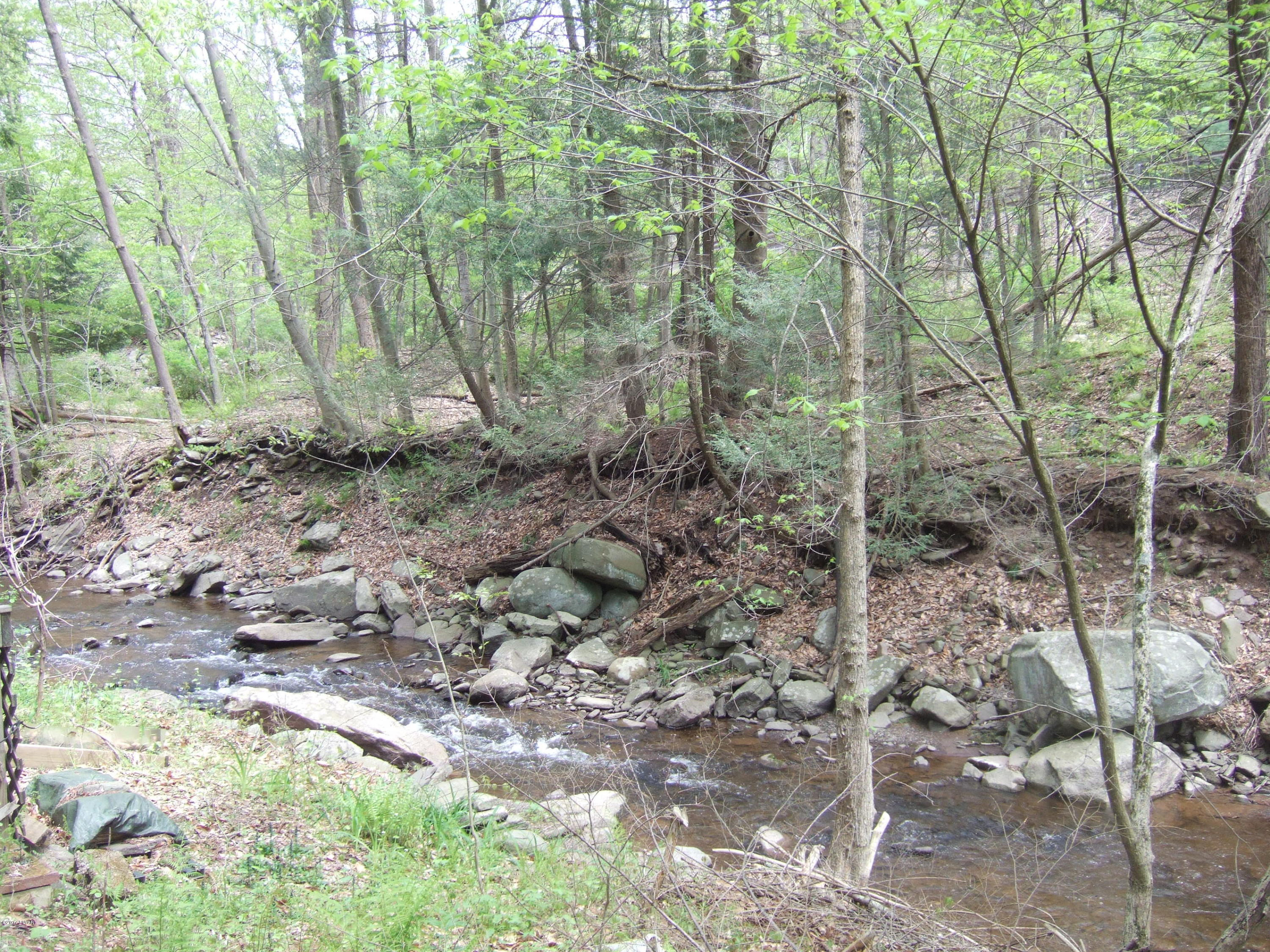 20 Old Peggy Runway Road Beach Lake, PA 18405 - Photo 2 of 26 Atco Creek at Rear Off Delaware River
