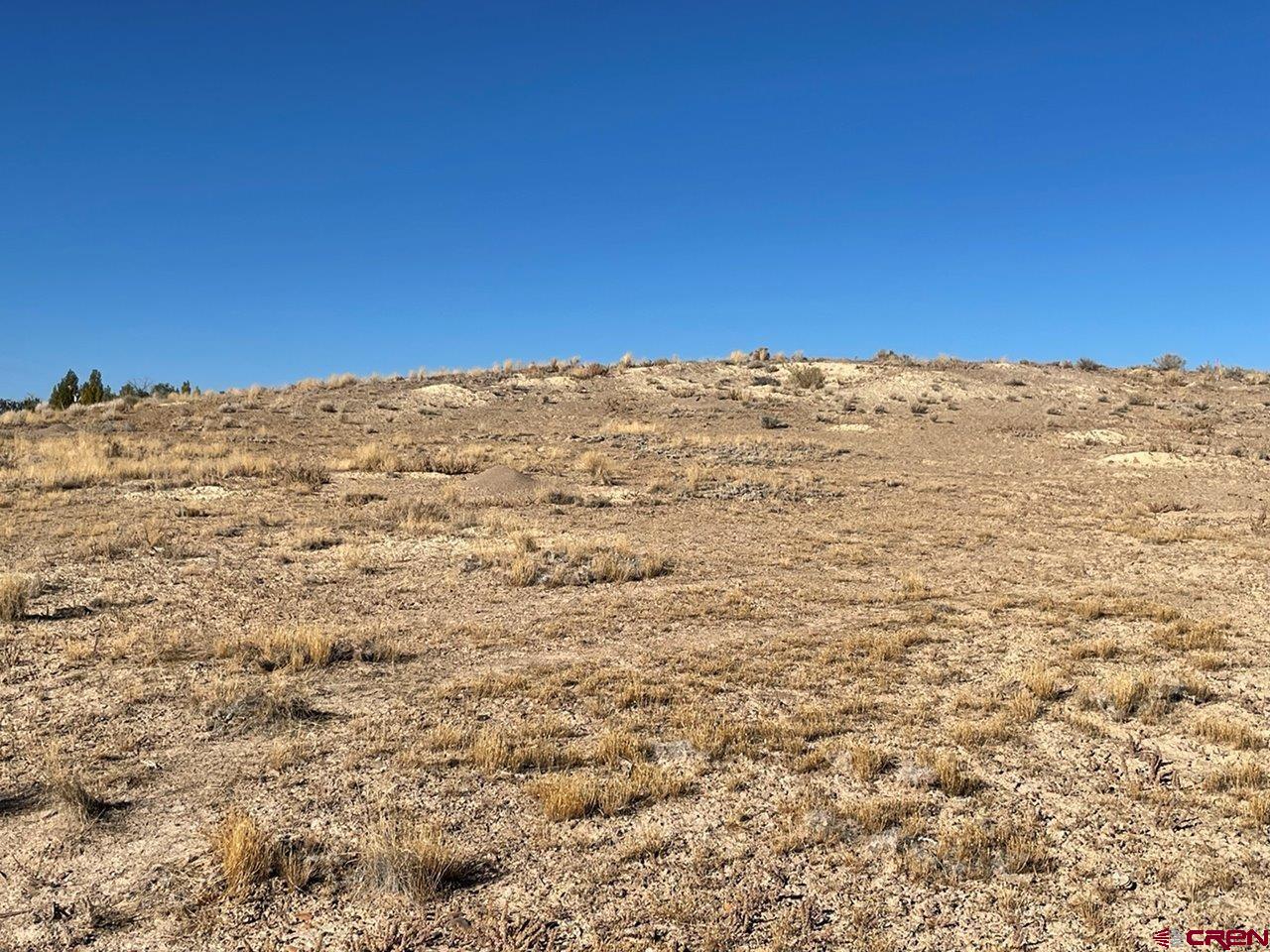 Lot 3 6125th Road Olathe, CO 81425 - Photo 6 of 8 a view of a field with a building in the background