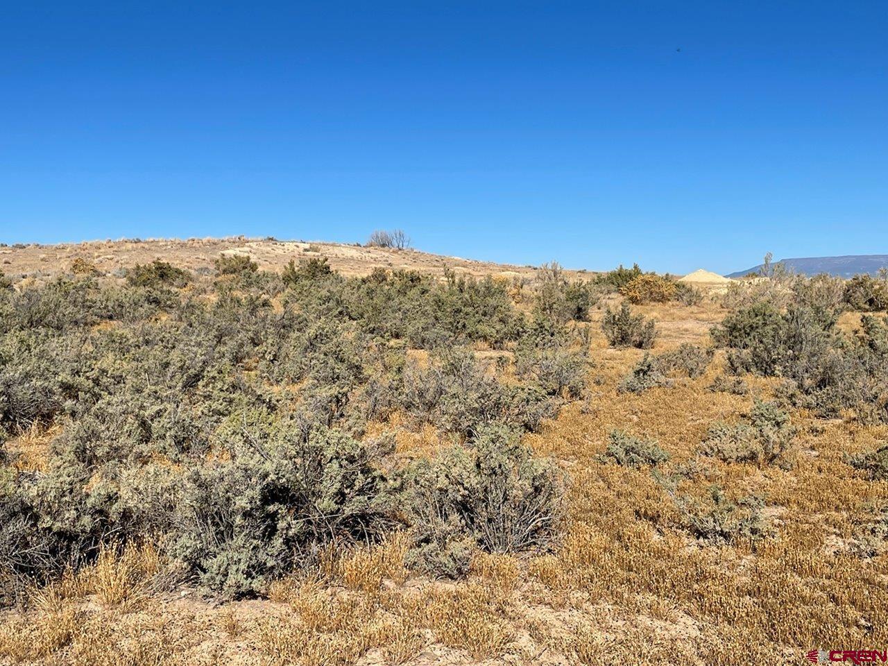 Lot 3 6125th Road Olathe, CO 81425 - Photo 7 of 8 a view of a field
