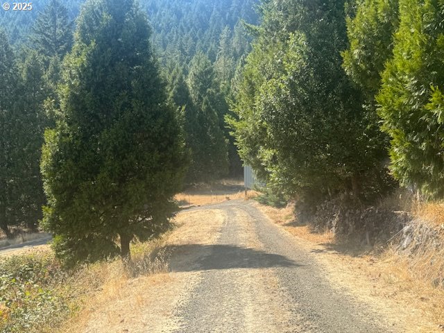 1604 Spring Brook Road Myrtle Creek, OR 97457 - Photo 32 of 43 Driveway