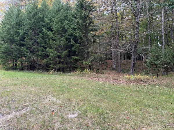 $155,000 | 0 Deer Meadows Road, Old Forge, NY 13420