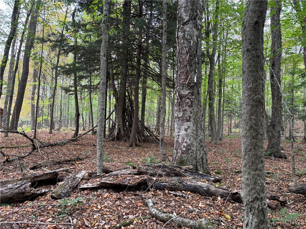 0 Deer Meadows Road Old Forge, NY 13420 - Photo 2 of 6