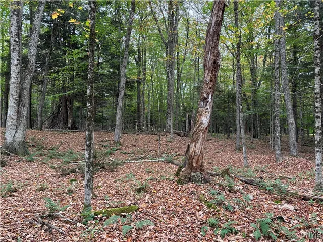 $170,000 | 0 Deer Meadows Road, Old Forge, NY 13420
