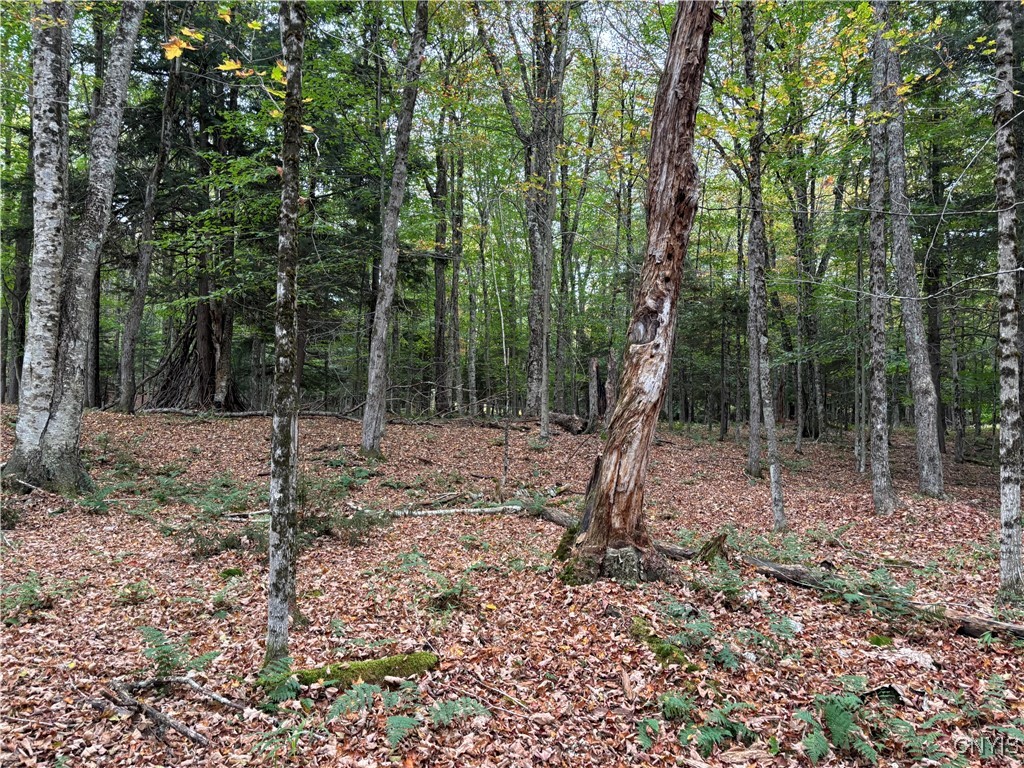 0 Deer Meadows Road Old Forge, NY 13420 - Photo 3 of 6