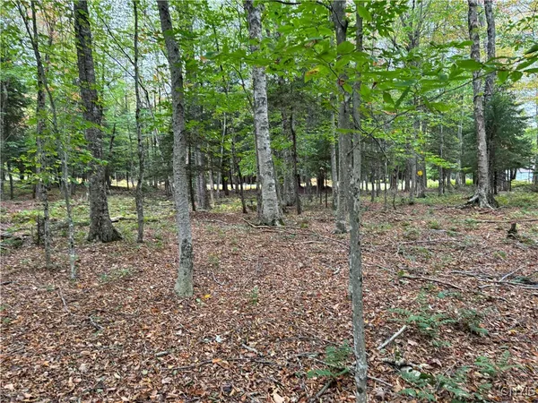 $155,000 | 0 Deer Meadows Road, Old Forge, NY 13420