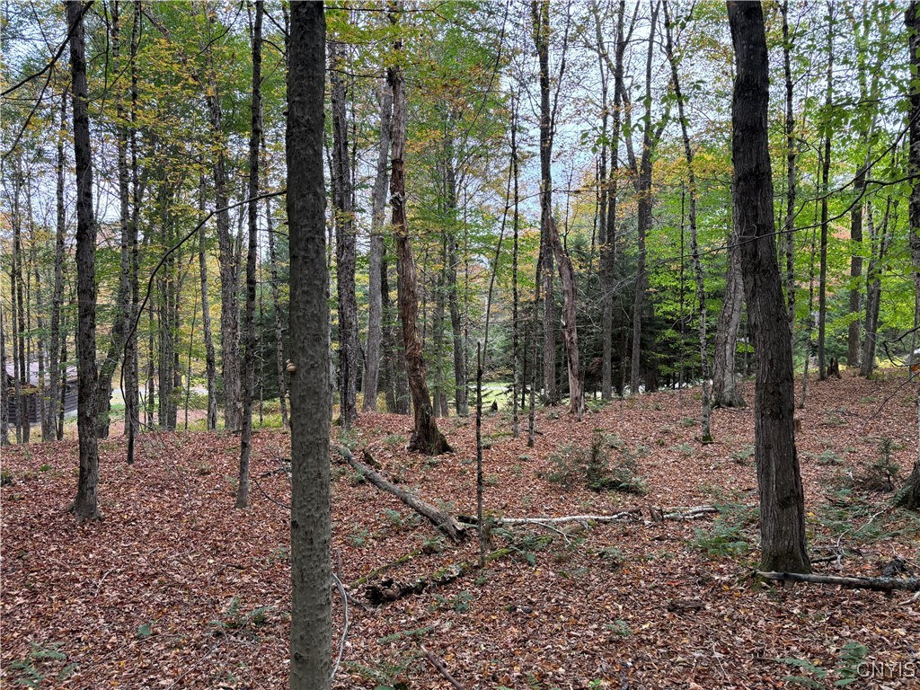 0 Deer Meadows Road Old Forge, NY 13420 - Photo 5 of 6