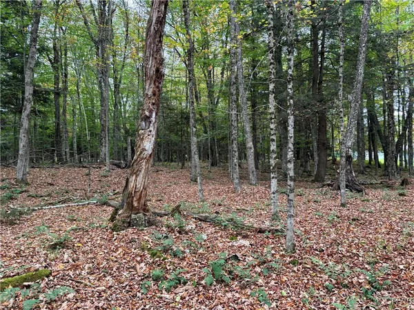 $155,000 | 0 Deer Meadows Road, Old Forge, NY 13420