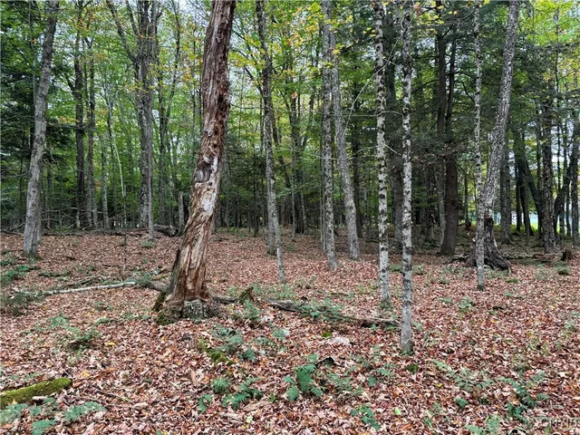 $170,000 | 0 Deer Meadows Road, Old Forge, NY 13420