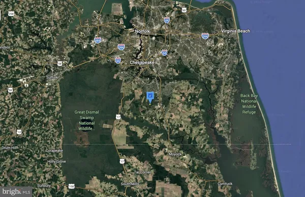 a close up of a tree