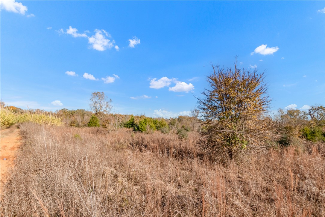 Tbd Tbd Us-79 Hearne, TX 77859 - Photo 13 of 20