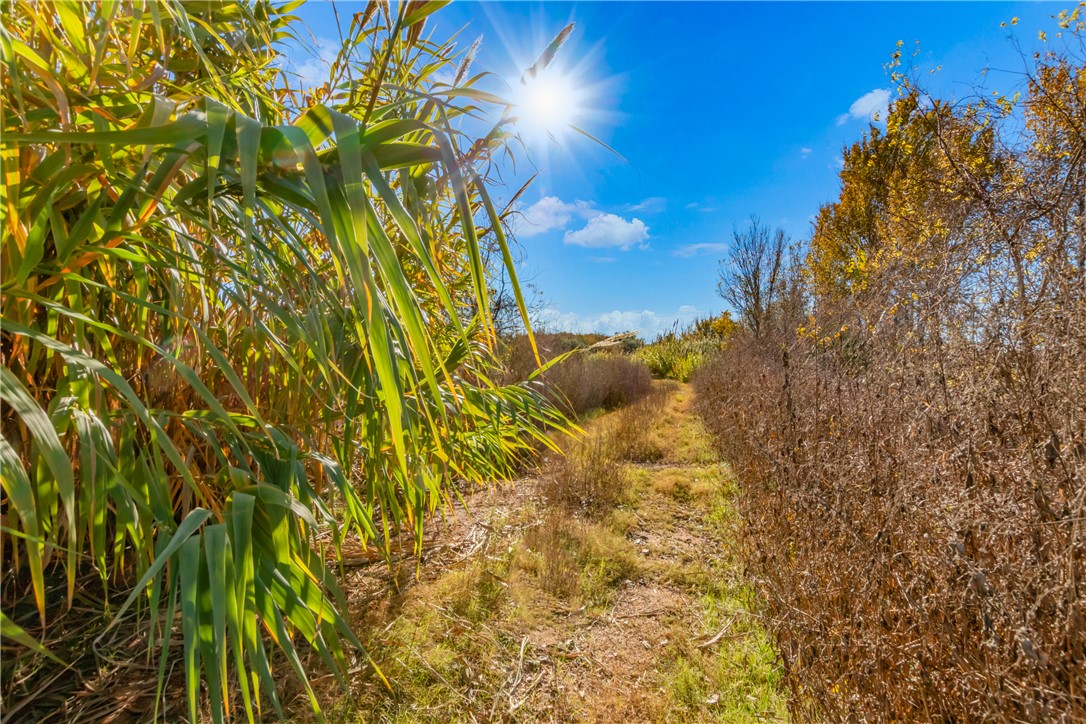 Tbd Tbd Us-79 Hearne, TX 77859 - Photo 3 of 20