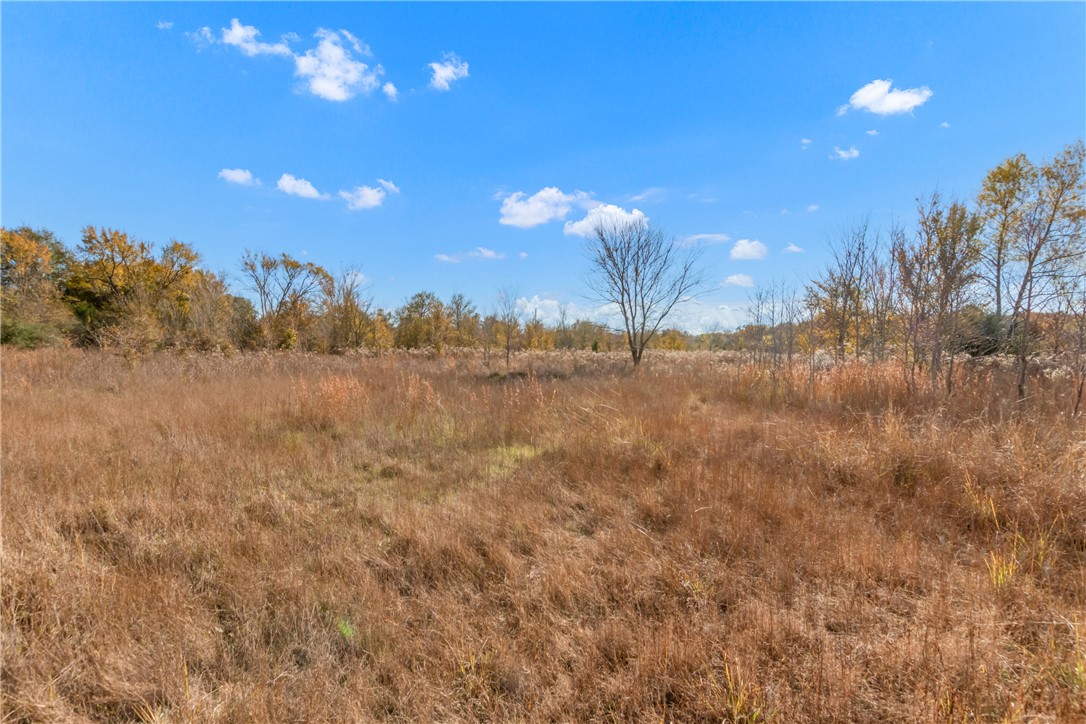 Tbd Tbd Us-79 Hearne, TX 77859 - Photo 4 of 20