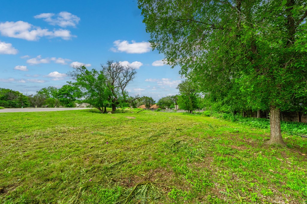 523 Conner Court Kerrville, TX 78028 - Photo 4 of 9 a view of a garden with an trees