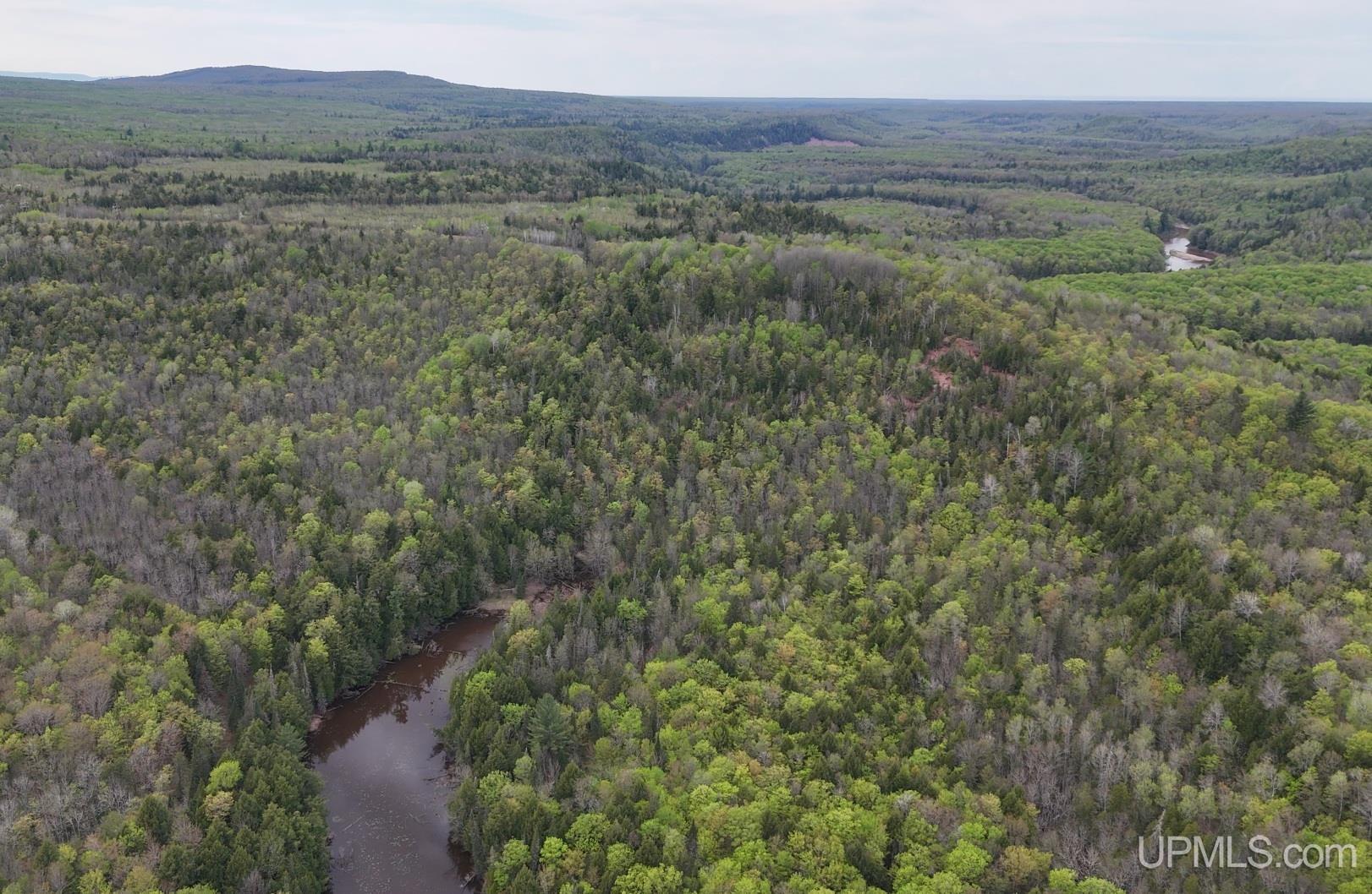 Tbd1948 Victoria Dam Road Rockland, MI 49960 - Photo 6 of 20