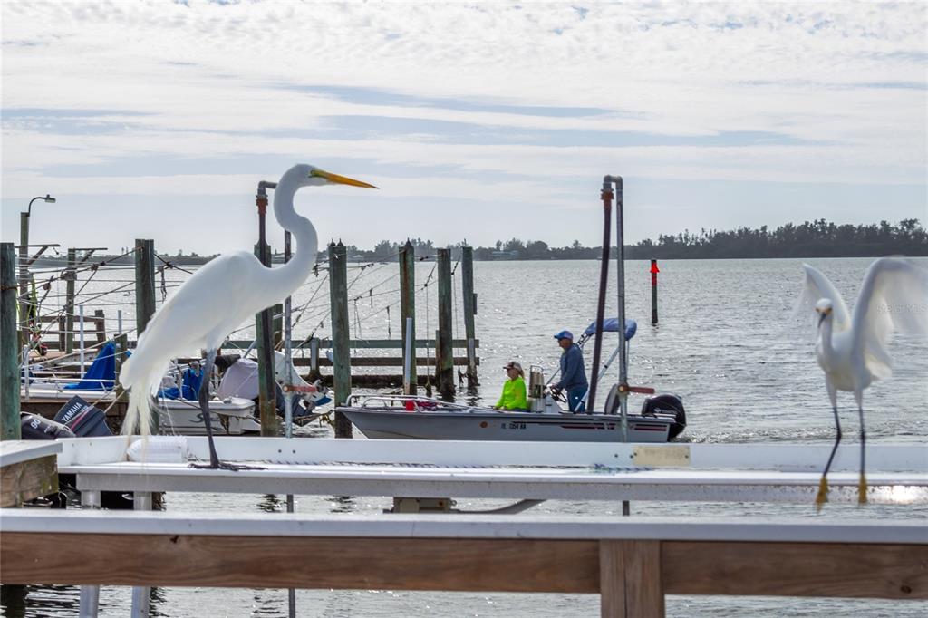 10315 Cortez Road West, Unit 19H Bradenton, FL 34210 - Photo 35 of 47 a view of a lake view