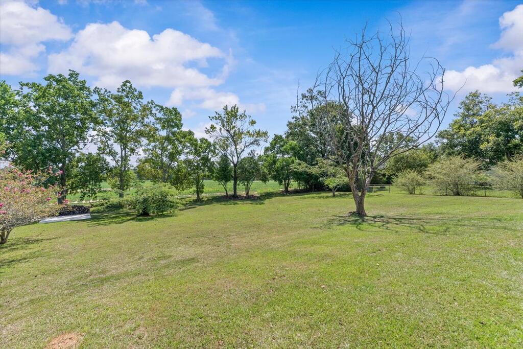 205 Pineridge Road Taylor, AL 36301 - Photo 21 of 23 Gallery Image 21