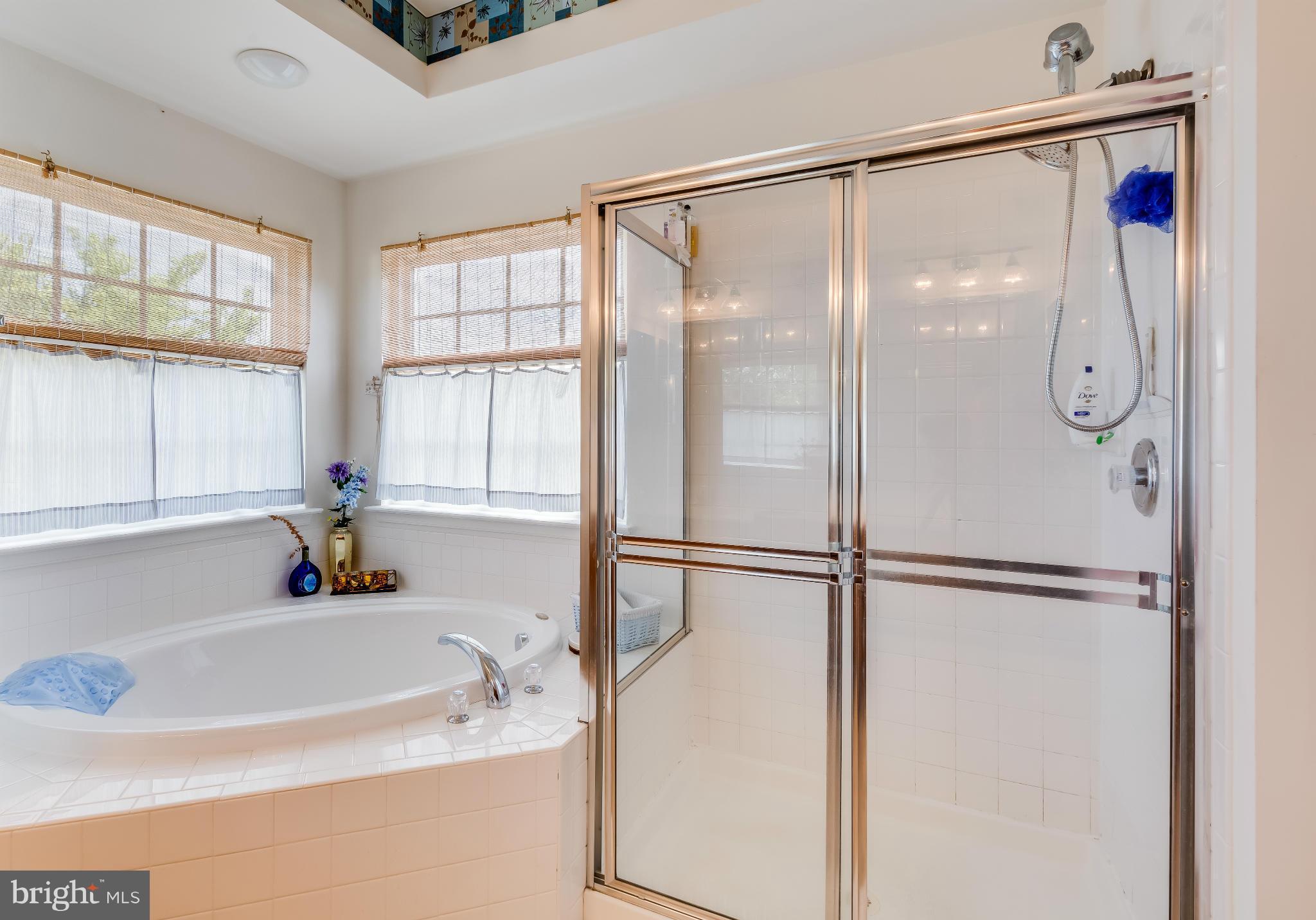 35415 Somerset Ridge Road Locust Grove, VA 22508 - Photo 12 of 25 Separate tub and shower
