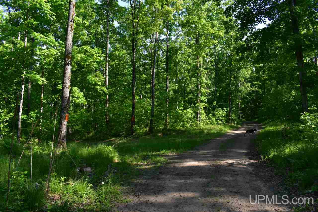 12651 Goodreau Road Skanee, MI 49962 - Photo 31 of 50 Gallery Image 31