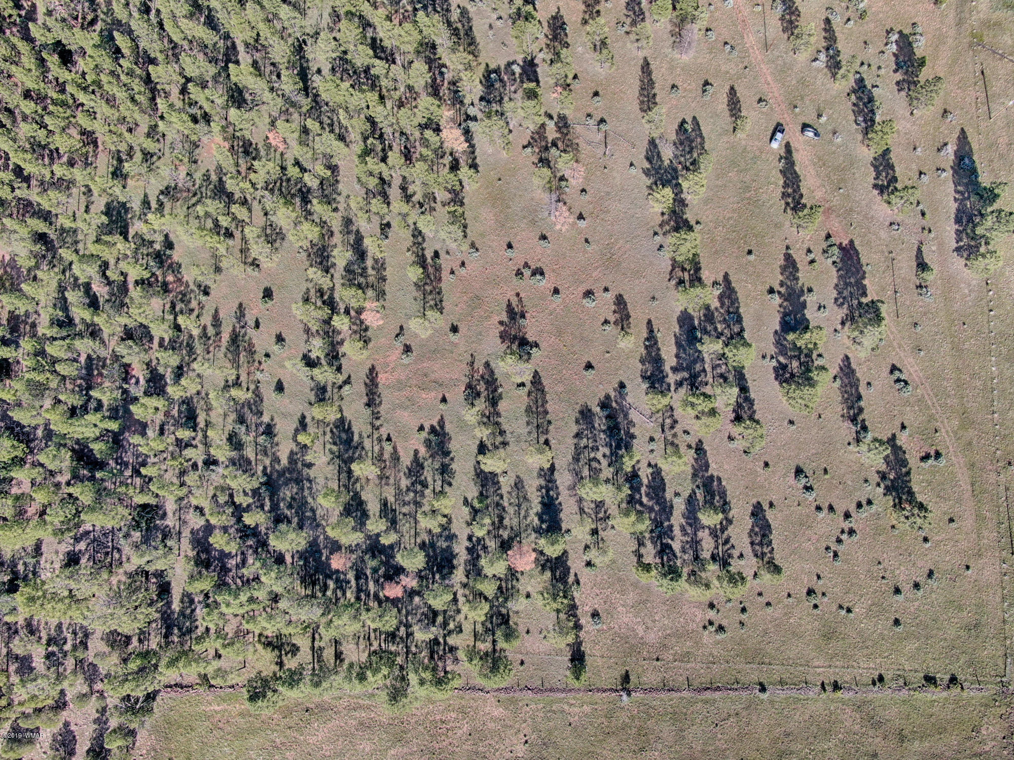 146 Sponseller Siding Road Pinetop, AZ 85935 - Photo 4 of 6