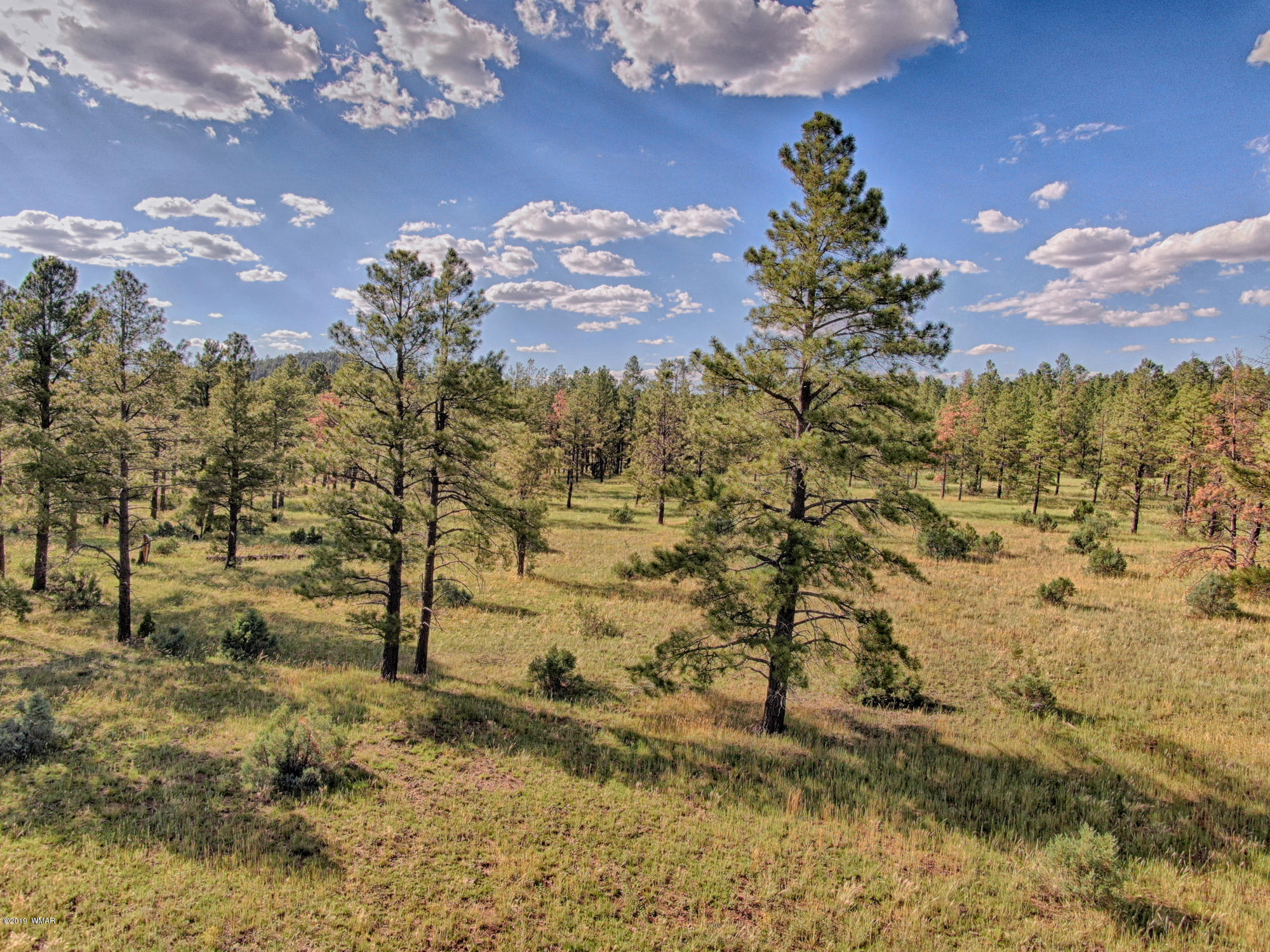 146 Sponseller Siding Road Pinetop, AZ 85935 - Photo 5 of 6