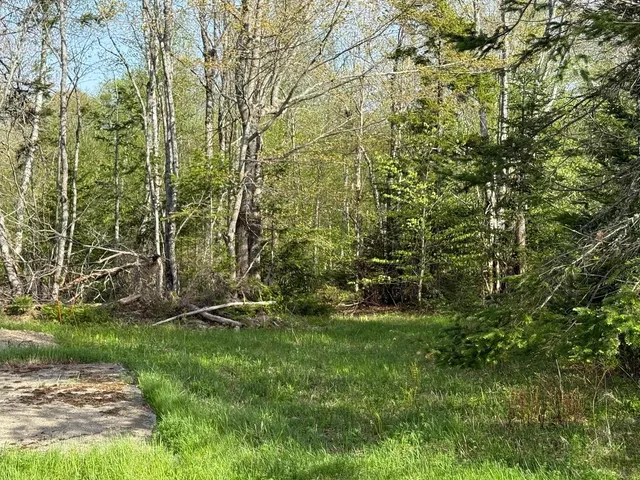 $65,000 | Lot 8 Airline Road, Alexander, ME 04694