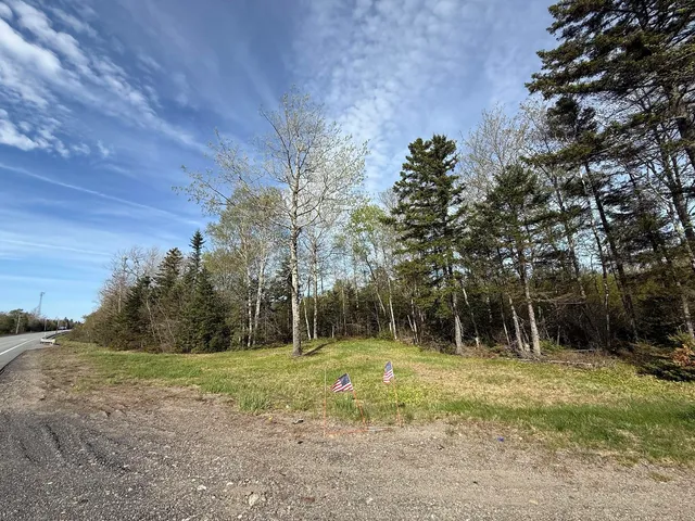 $65,000 | Lot 8 Airline Road, Alexander, ME 04694