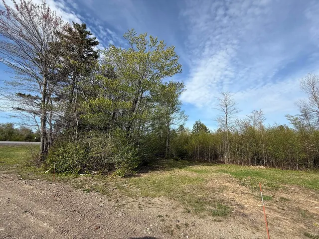 $65,000 | Lot 8 Airline Road, Alexander, ME 04694