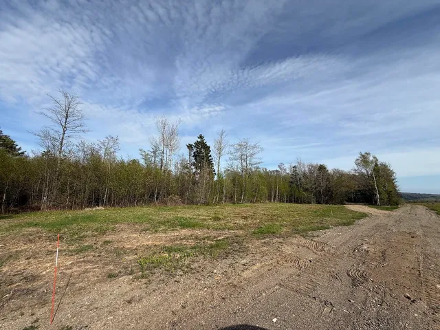$65,000 | Lot 8 Airline Road, Alexander, ME 04694