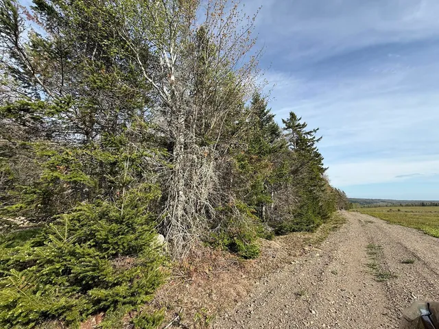 $65,000 | Lot 8 Airline Road, Alexander, ME 04694