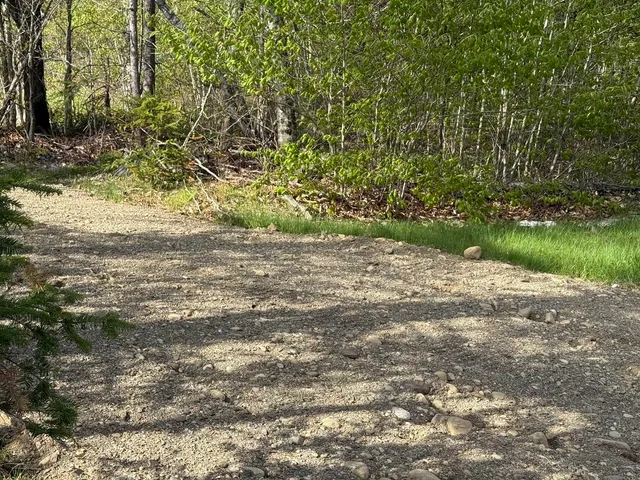 $65,000 | Lot 8 Airline Road, Alexander, ME 04694