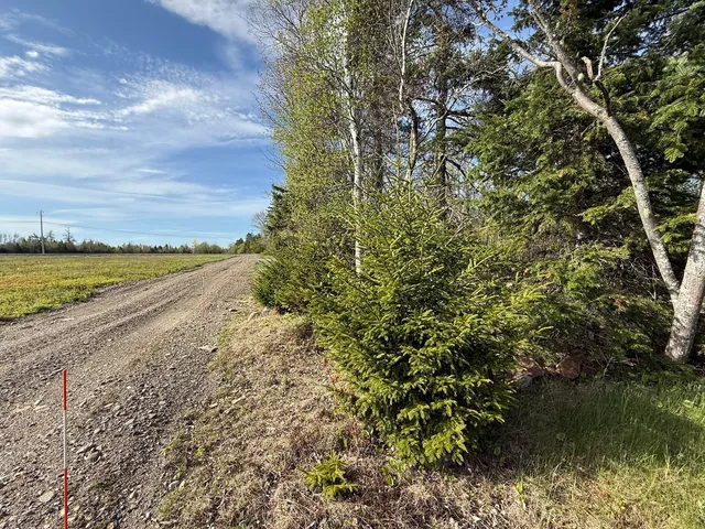 $65,000 | Lot 8 Airline Road, Alexander, ME 04694