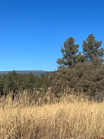 a view of a lake with a mountain in the background