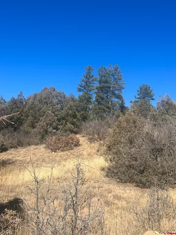 a view of a dry yard with mountains