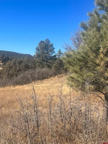 a view of mountain view with trees in the background