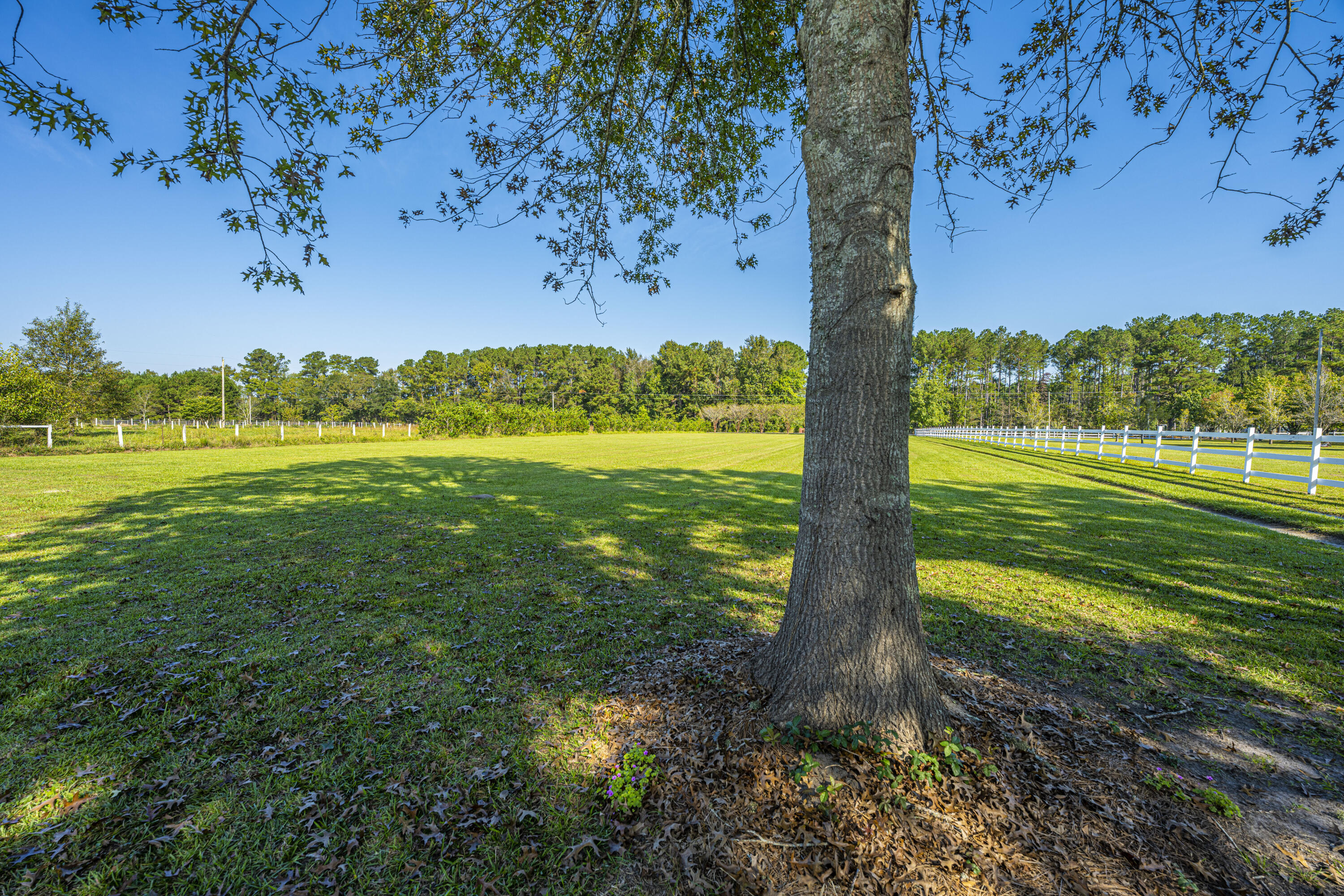 569 Campbell Road Ridgeville, SC 29472 - Photo 49 of 55 View towards Campbell Rd