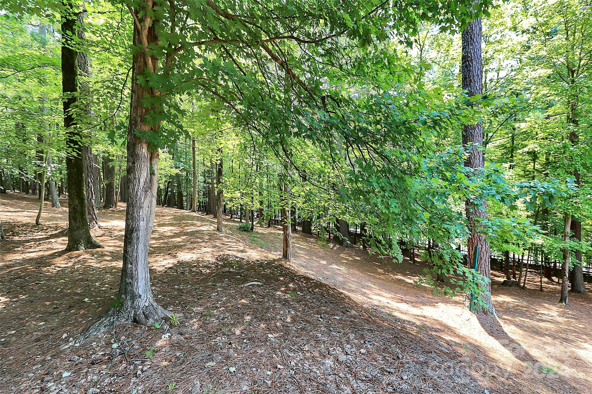 1601 Suther Road Concord, NC 28025 - Photo 44 of 47 Gallery Image 44