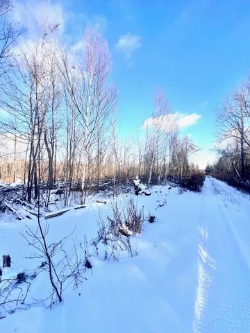 $29,900 | M8 P/o 1 Drews Mill Road, Houlton, ME 04730