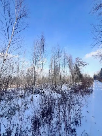 $29,900 | M8 P/o 1 Drews Mill Road, Houlton, ME 04730